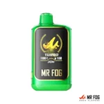 APPLE STEEZY WATERMELON