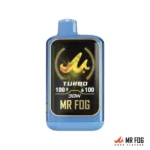 BERRY STEEZY WATERMELON